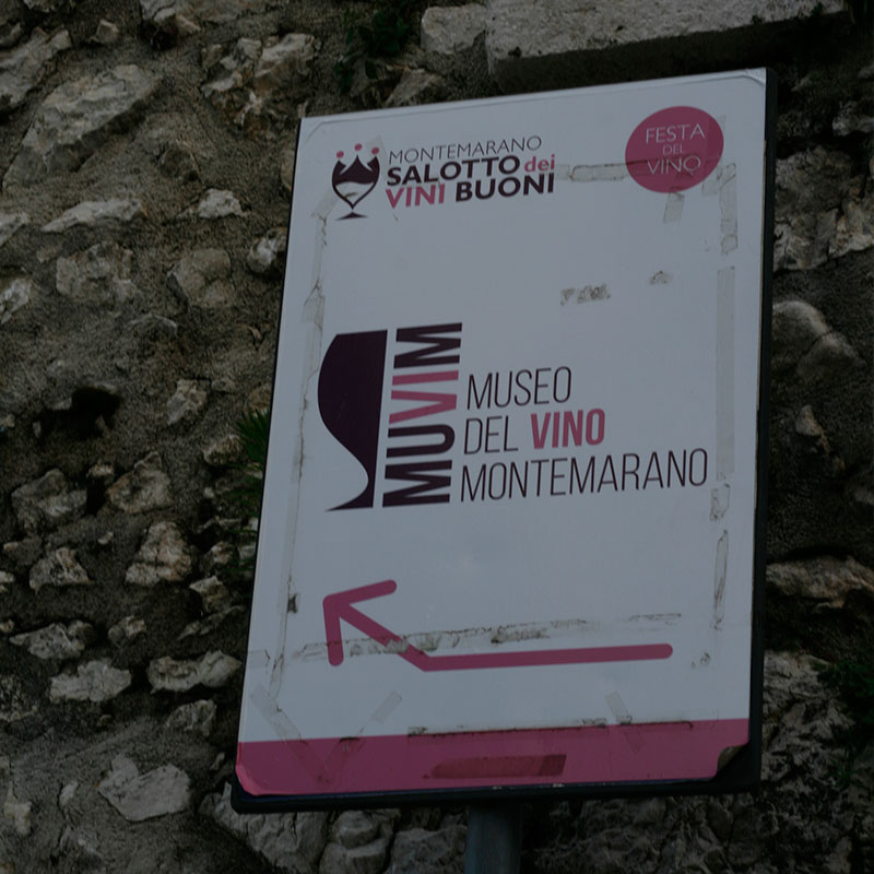 Museo del Vino